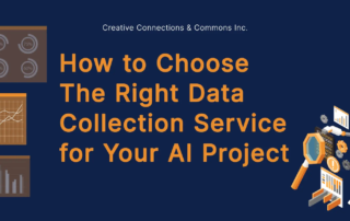 How to Choose the Right Data Collection Service for Your AI Project